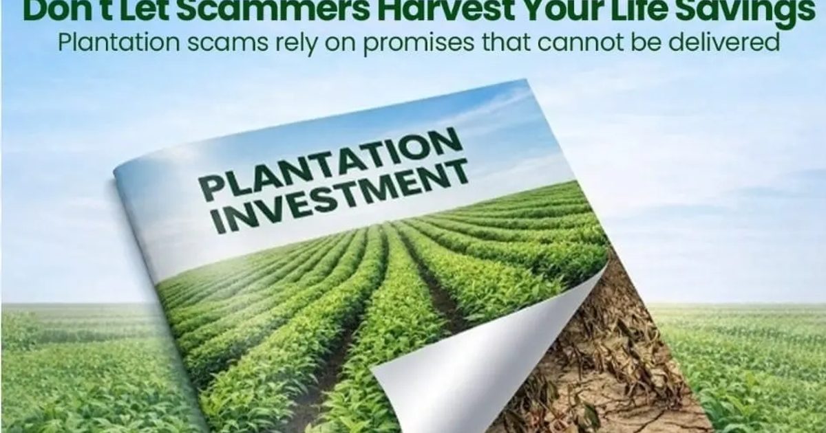 CBSL Governor Warns Plantation Company Deposits May Be Illegal
