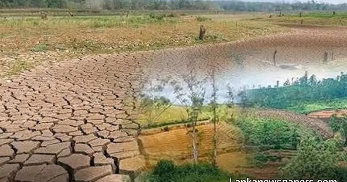 Government Sets Aside Rs. 3 Billion to Compensate Farmers Devastated by El Niño Drought