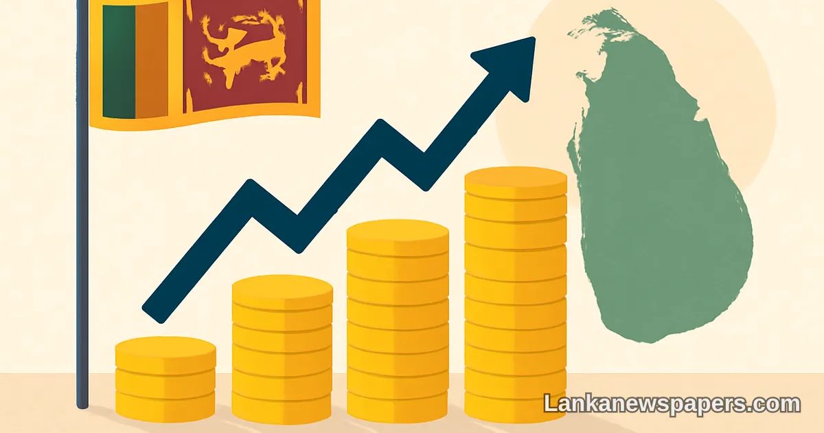 Sri Lanka July Foreign Currency Reserves Rise to USD 6.59 Billion