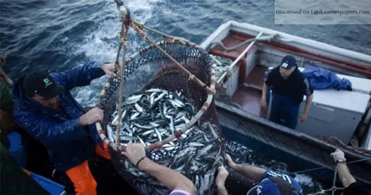 Seychelles seeks Sri Lanka’s technical support to improve fisheries industry