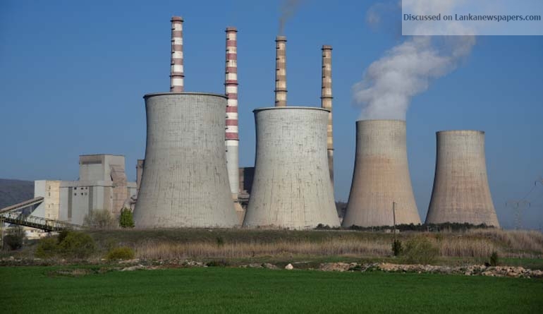 Sri Lanka, China to co-build dendro power plant
