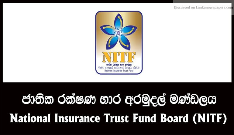 nitf in sri lankan news