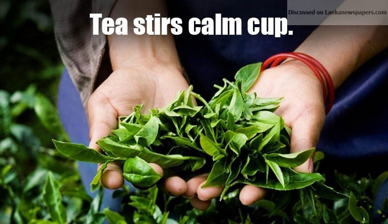 tea 1 in sri lankan news