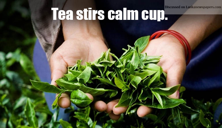 Tea stirs calm cup.
