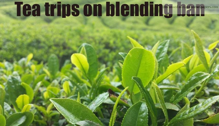 Tea trips on blending ban