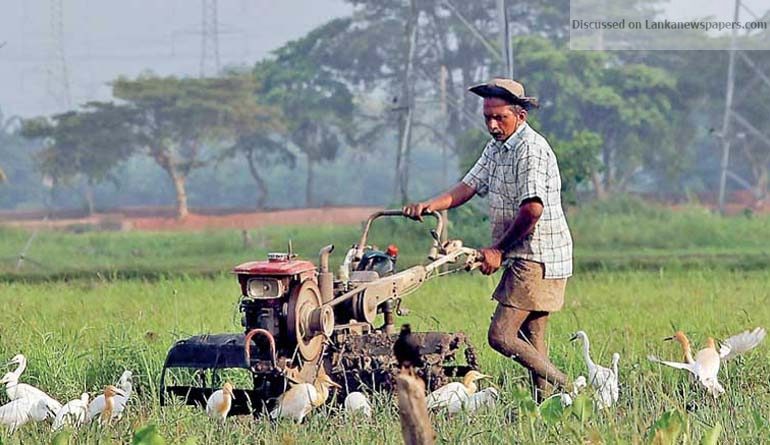 povert in sri lankan news