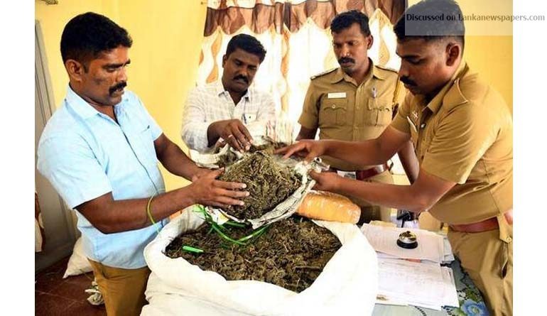 ganja in sri lankan news