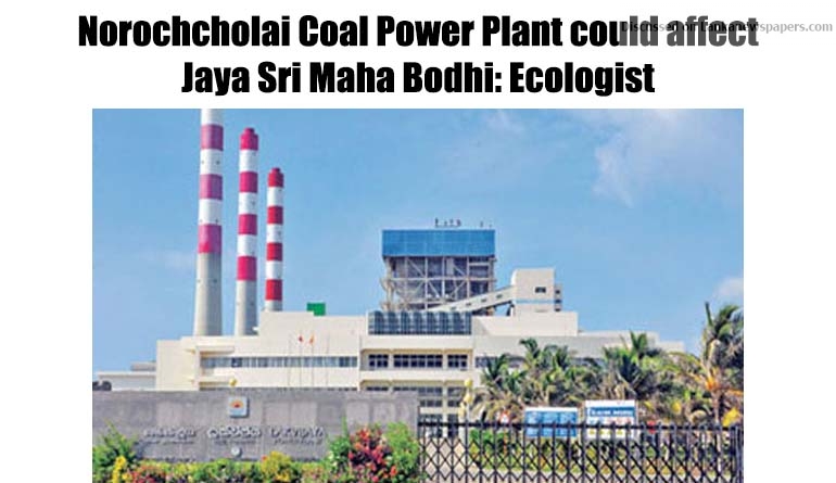 Norochcholai Coal Power Plant could affect Jaya Sri Maha Bodhi: Ecologist