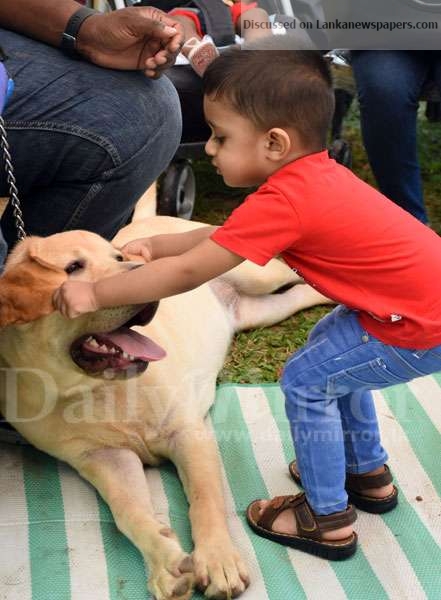 All Breeds Championship Dog show