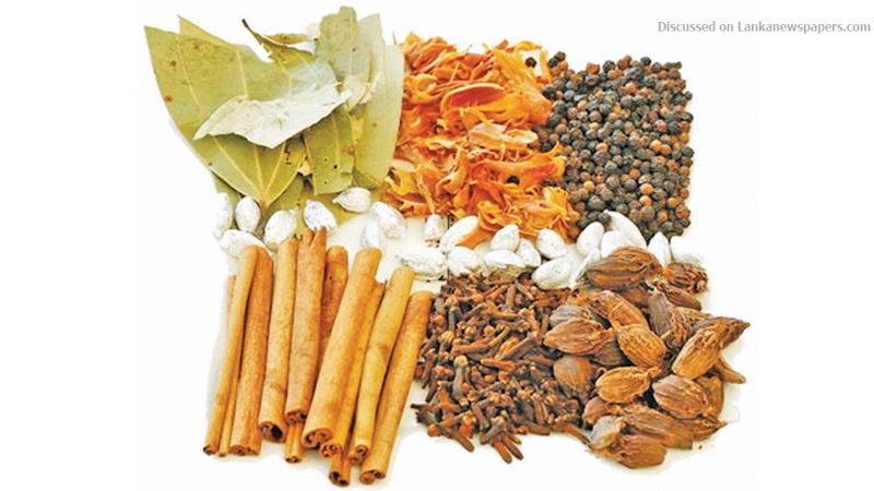 SL exports to South Asia Sub regional Economic Cooperation up by 8%