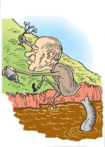 To quit politics in disgust?