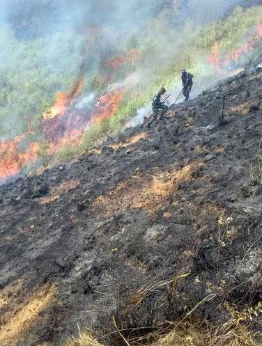 SLAF troops douse forest fire at Panangala