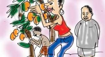 Mango farm, a stepping stone to politics!