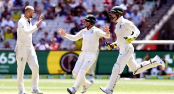 Australia rout New Zealand by 247 runs, seal series