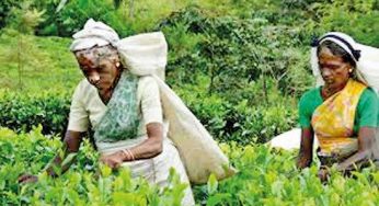 Still no deal on estate workers’ wage hike