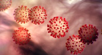 Fifteen more recovered; total infected cases now at 663
