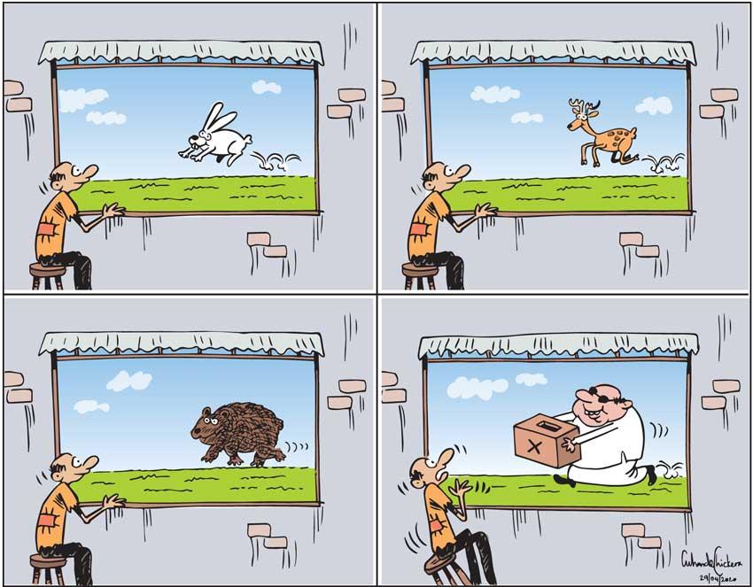 Cartoon of the day