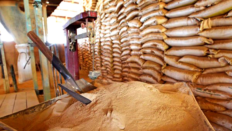 Lanka to reach self- sufficiency in paddy fertilizer