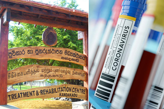 1594354087 Kandakadu rehab centre confirms 196 more Covid 19 cases l in sri lankan news