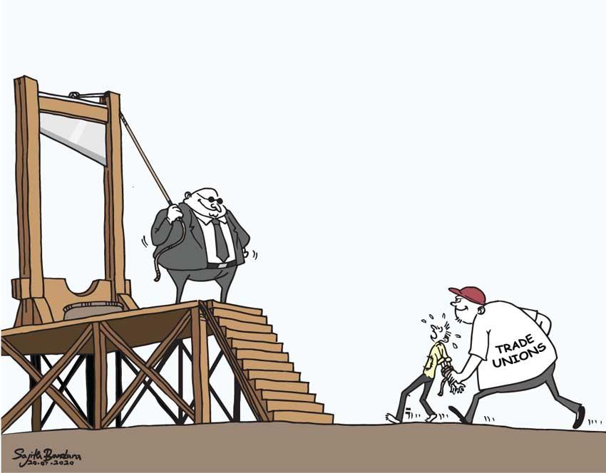 LNP – Cartoon of the day