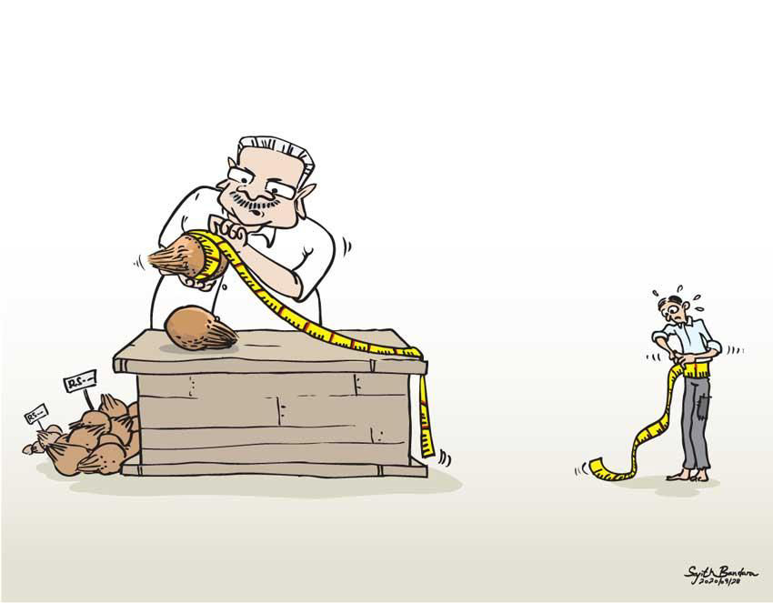 LNP – Cartoon of the day