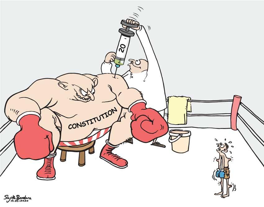 LNP – Cartoon of the day
