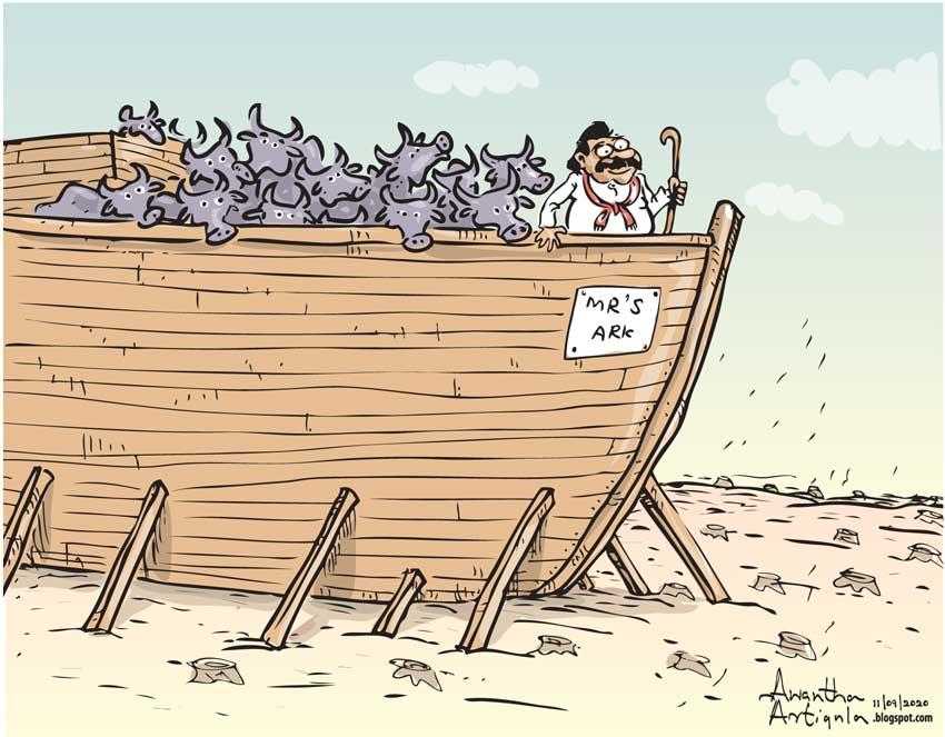 LNP – Cartoon of the day