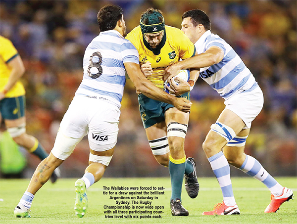 LNP – Wallabies vs Pumas – Stalemate!