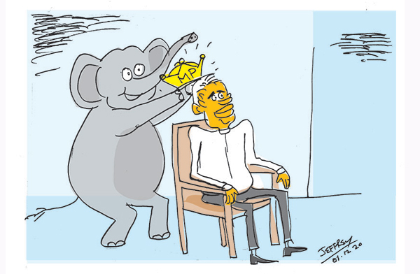 cartoon 11 in sri lankan news