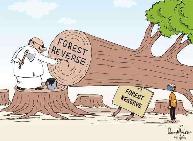 LNP – Cartoon of the Day
