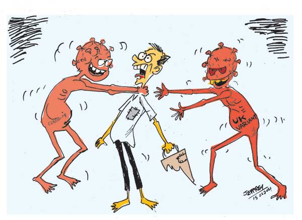 cartoon 15th in sri lankan news