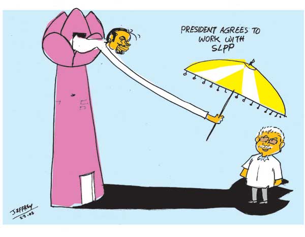 LNP – Cartoon of the Day