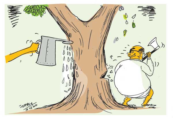 cartoon18th in sri lankan news