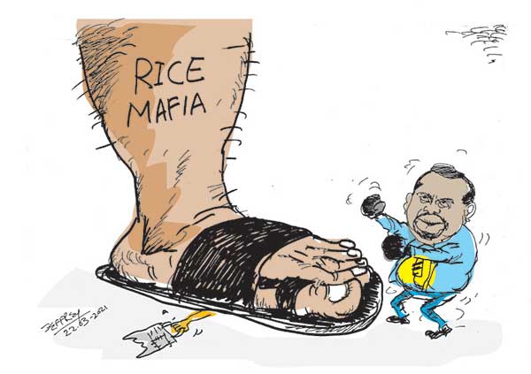 cartoon22nd in sri lankan news