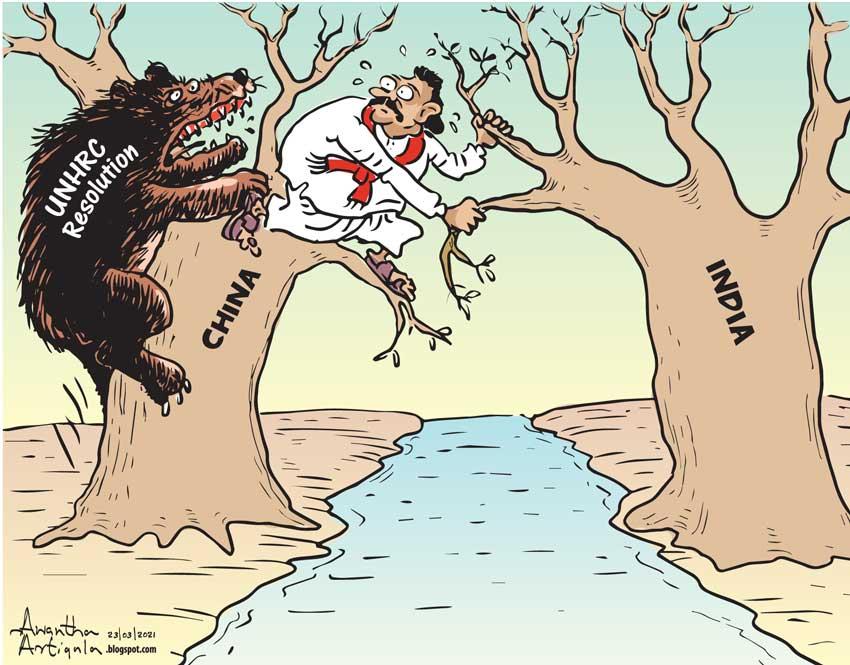 LNP – Cartoon of the day
