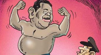 LNP – Black sheep won the day!