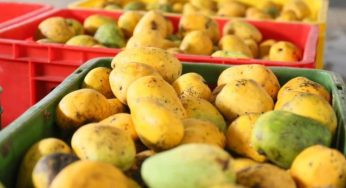 LNP – SL ranks 5th among 10 countries with highest food price inflation: World Bank