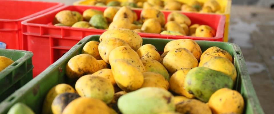 LNP – SL ranks 5th among 10 countries with highest food price inflation: World Bank