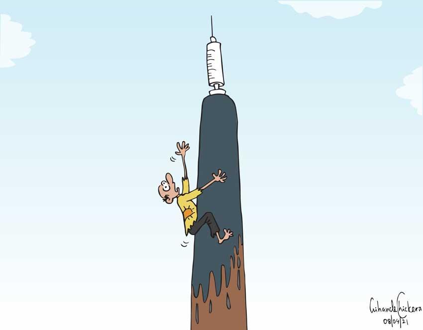 LNP – Cartoon of the day