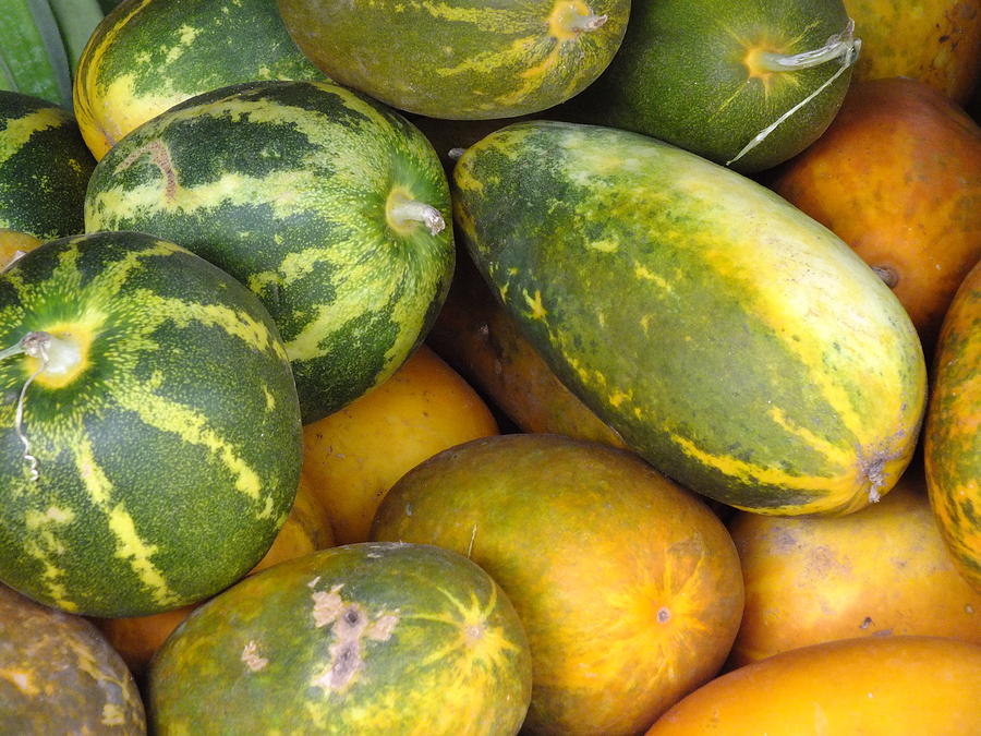 LNP – Bumper cucumber harvest