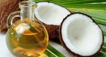 LNP – Decline in coconut production expected to last until April 2025