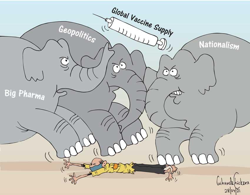 LNP – Cartoon of the day