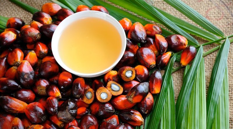 palm oil in sri lankan news