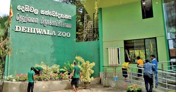 1620037202 Dehiwala zoo closed in sri lankan news