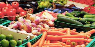 FRUITS and vegetables in sri lankan news