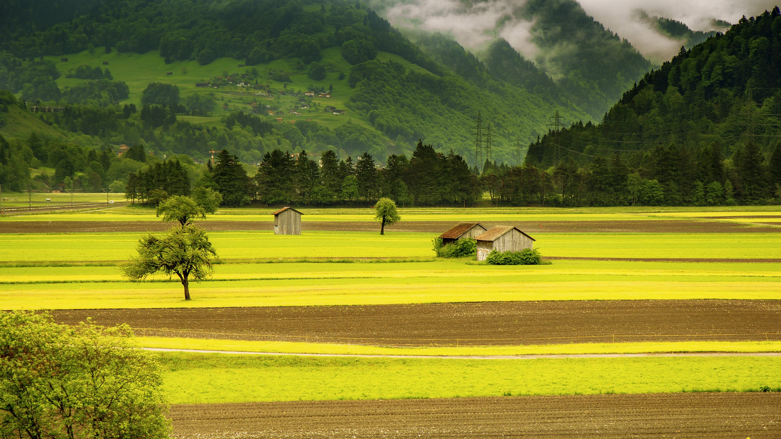 LNP – EU, WB support modernization of SL’s agri sector