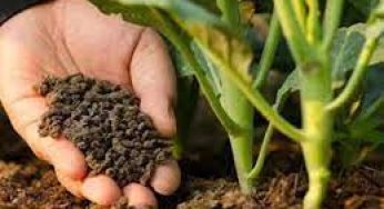 LNP – Farmers to receive fertilizer subsidy from Monday