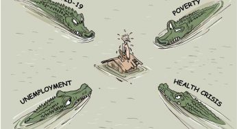 LNP – Cartoon of the day