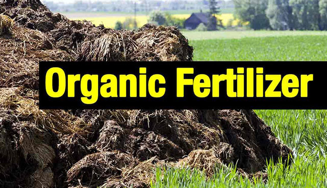 organic fertilizer production process in sri lankan news