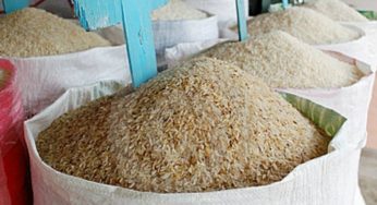 LNP – Govt. nod to import 100,000 MT of rice from Myanmar